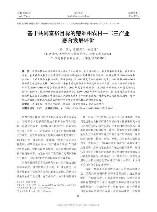 211162619_基于共同富裕目标的楚雄州农村一二三产业融合发展评价