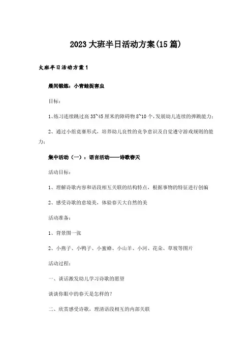 2023大班半日活动方案(15篇)
