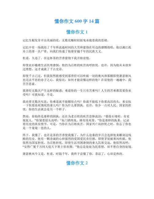 懂你作文600字14篇