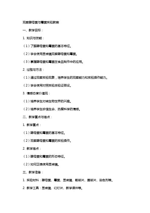 观察酵母菌与霉菌实验教案