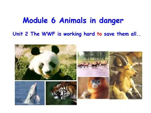 八年级英语上册(外研版)课件 Module.6 Unit2精品课件