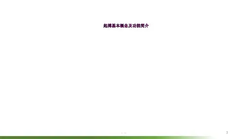 起搏器的基本功能简介ppt课件
