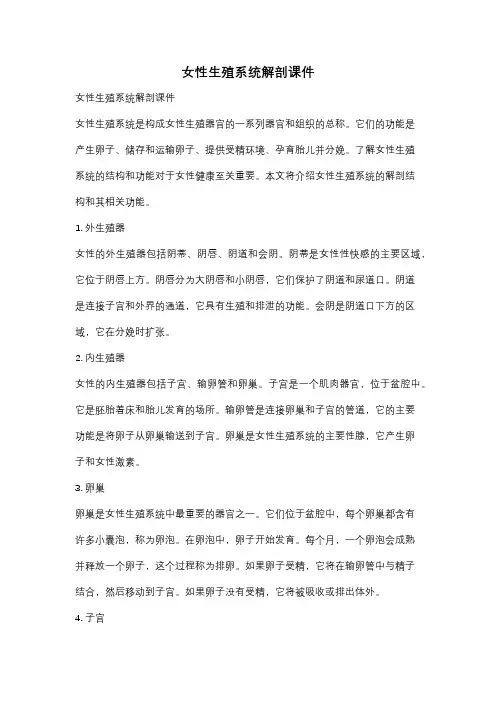 女性生殖系统解剖课件