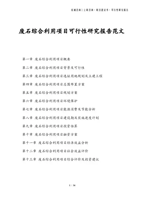 废石综合利用项目可行性研究报告范文