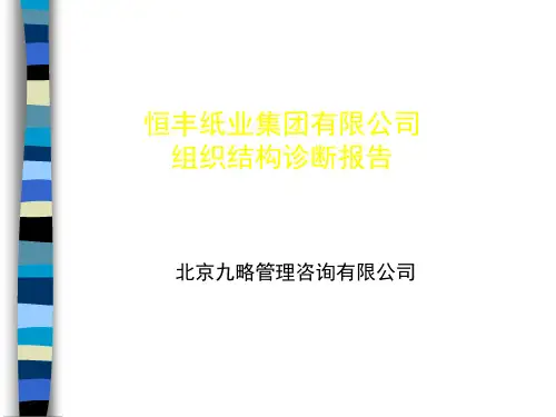 某纸业集团组织结构诊断报告(ppt 97页)