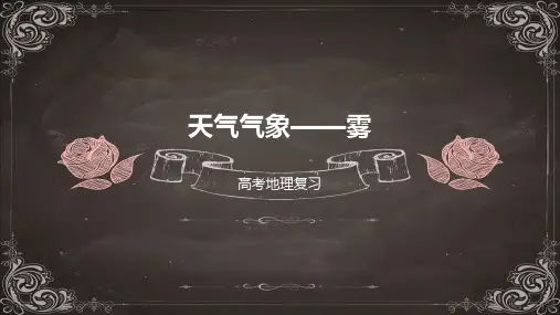 2023届高考地理二轮专题复习课件 天气气象——雾