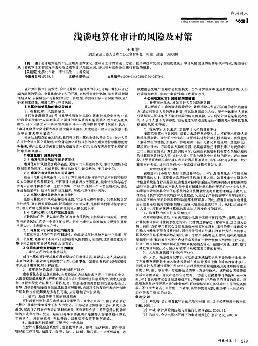 浅谈电算化审计的风险及对策