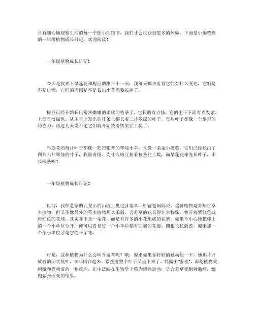 一年级植物成长日记八篇