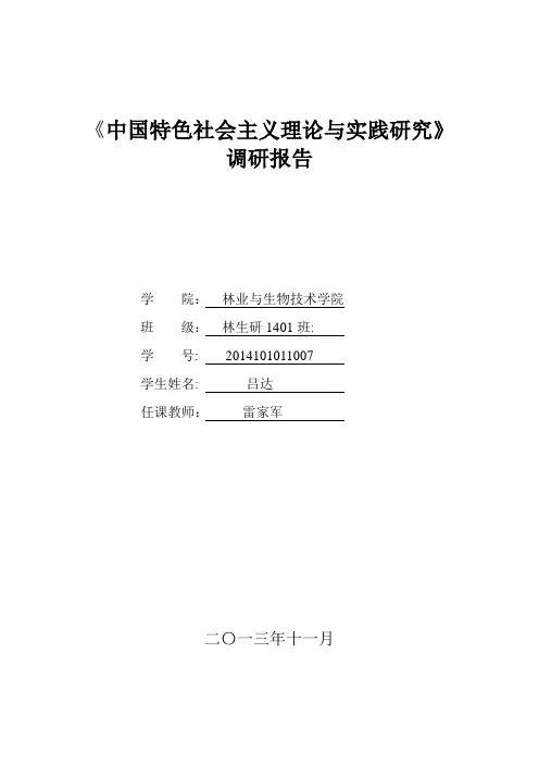 中国特色社会主义理论与实践研究调查报告.doc