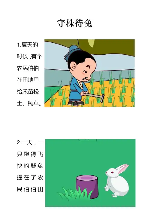 宝宝成语故事：守株待兔