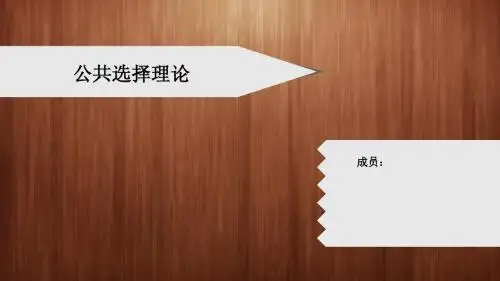 公共选择理论