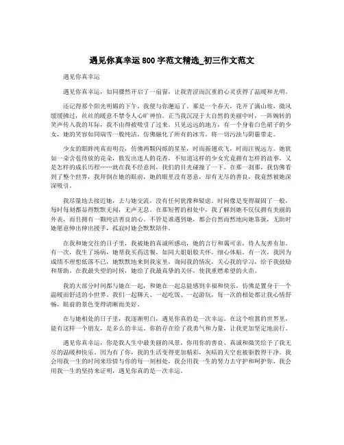 遇见你真幸运800字范文精选_初三作文范文