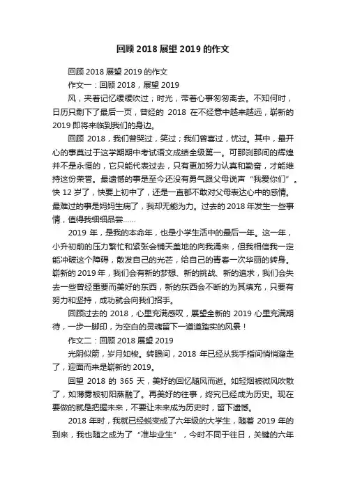 回顾2018展望2019的作文