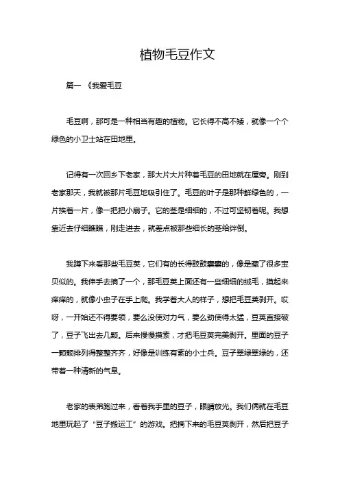 植物毛豆作文