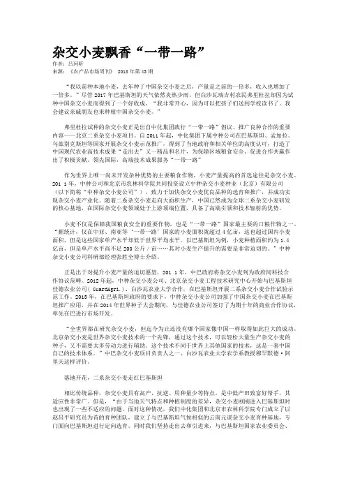 杂交小麦飘香“一带一路”