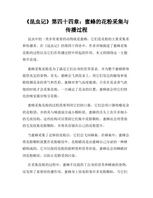 《昆虫记》第四十四章：蜜蜂的花粉采集与传播过程