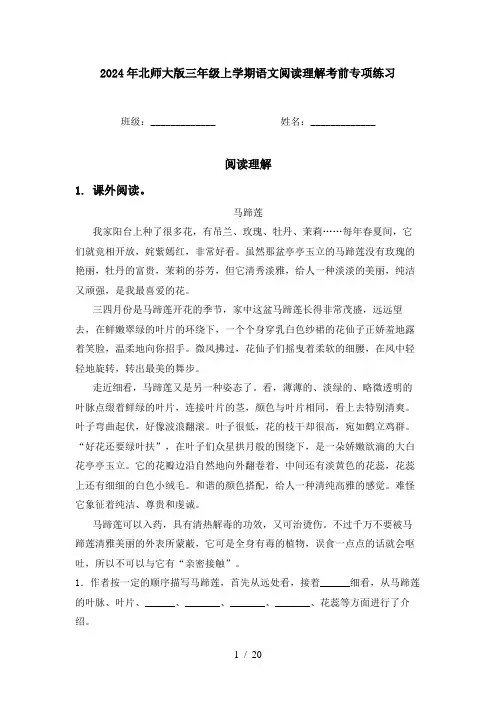 2024年北师大版三年级上学期语文阅读理解考前专项练习