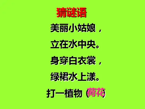人教版小学三年级语文下册第三课荷花