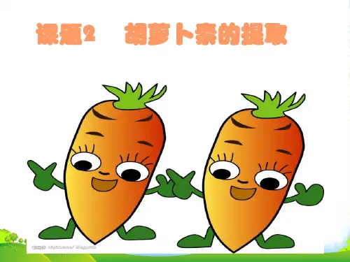 人教版高中生物选修一课件：6.2胡萝卜素的提取 (共22张PPT)