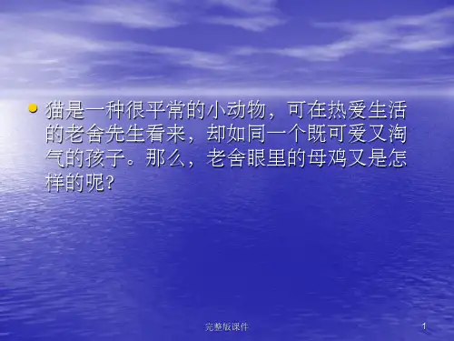 人教版语文四年级上册_母鸡PPT课件