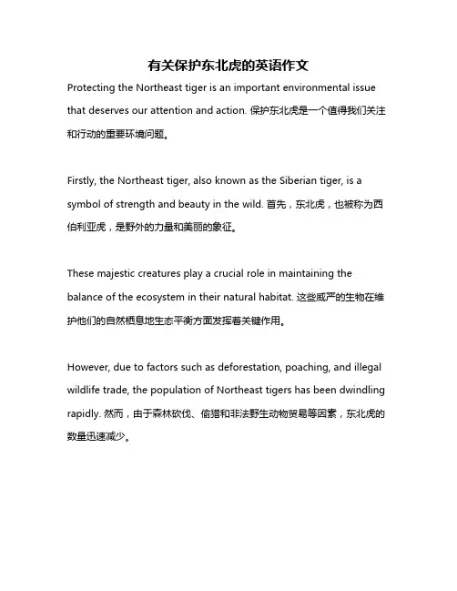 有关保护东北虎的英语作文