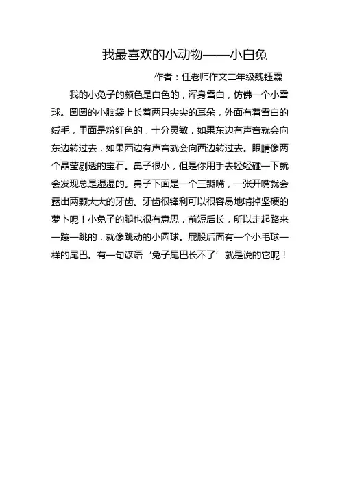 小学二年级作文我最喜欢的小动物