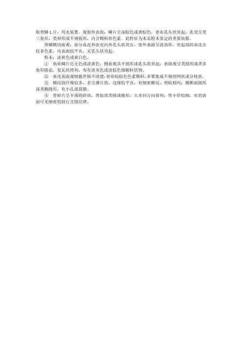 执业中药师中药学考试辅导：蕲蛇的显微鉴别