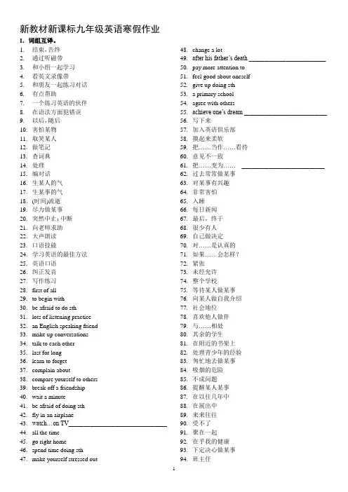 新教材新课标九年级英语寒假作业 (13)