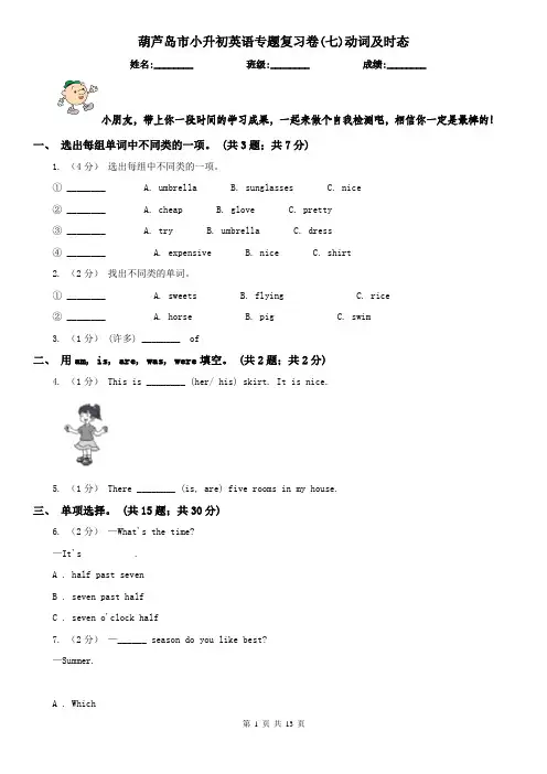 葫芦岛市小升初英语专题复习卷(七)动词及时态