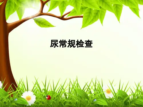 尿常规检查_ppt课件