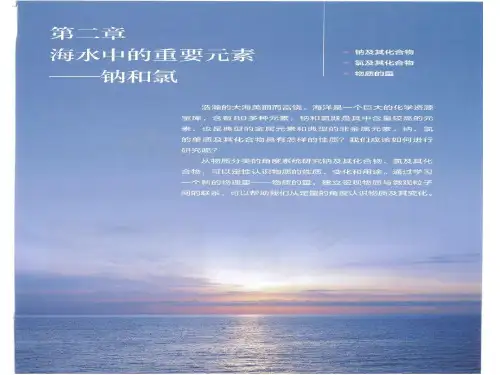 【新人教版】高一化学必修第一册 第二章 第一节   钠