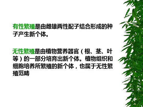 药用植物栽培学ppt课件
