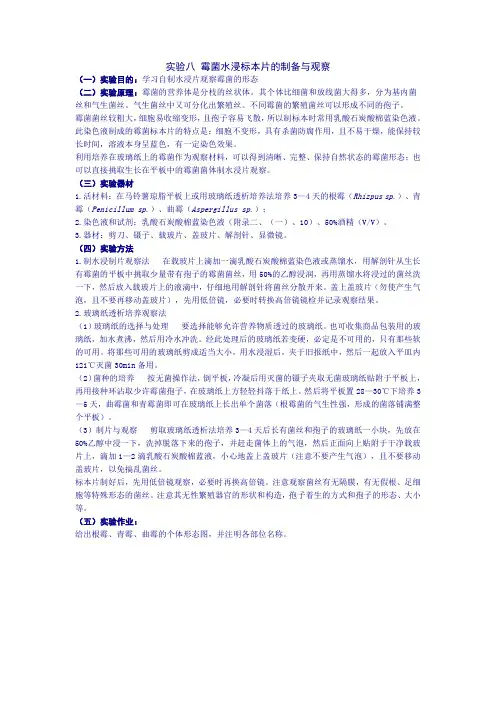 华农微生物实验农实验八 霉菌水浸标本片的制备与观察