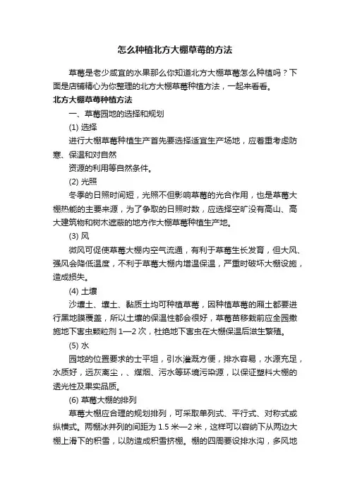 怎么种植北方大棚草莓的方法