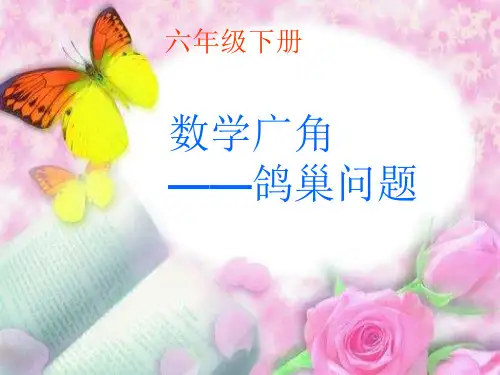 六年级下册数学课件数学广角鸽巢问题人教版(共18张PPT)