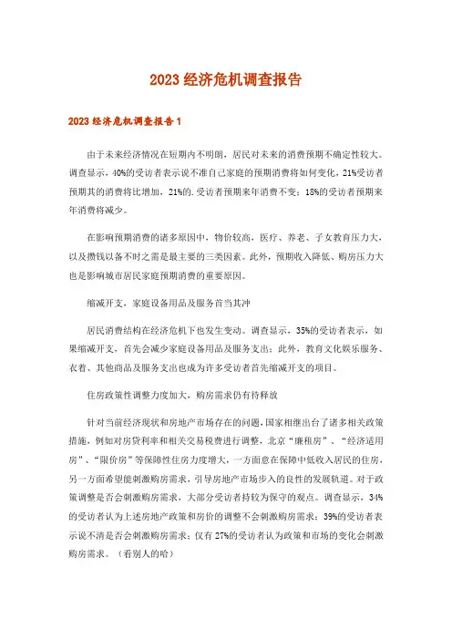 2023经济危机调查报告
