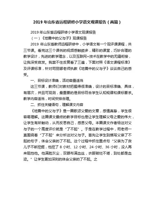 2019年山东省远程研修小学语文观课报告（两篇）
