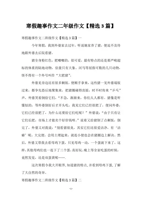 寒假趣事作文二年级作文【3篇】