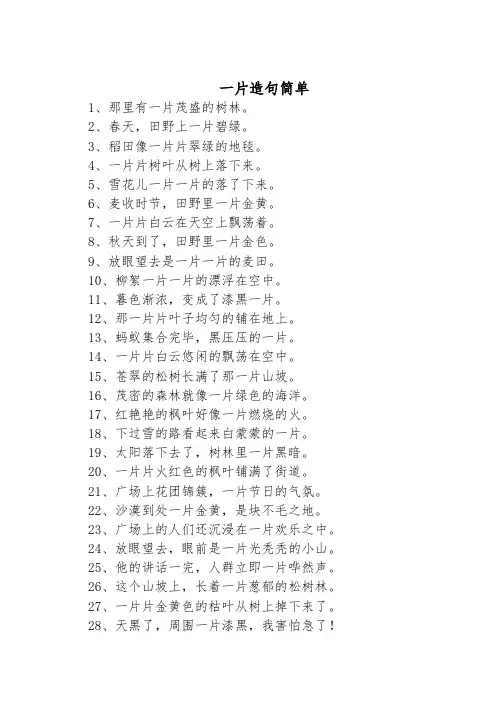 一片造句简单