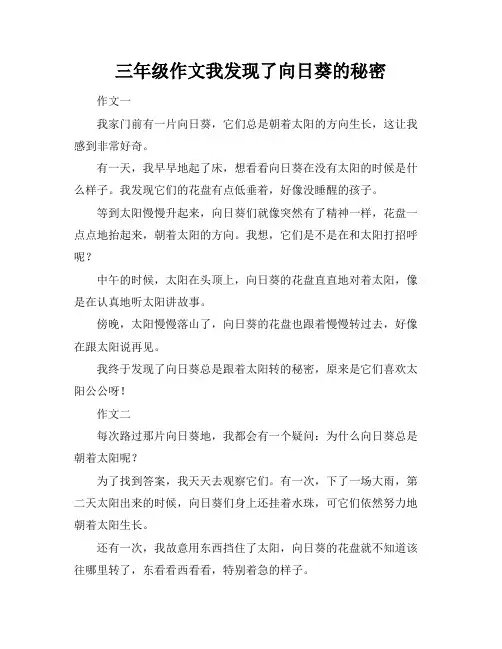 三年级作文我发现了向日葵的秘密