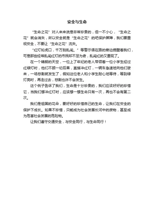 安全与生命