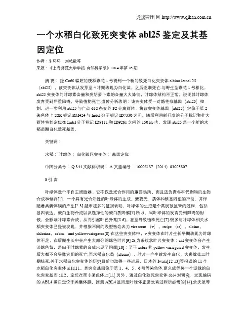 一个水稻白化致死突变体abl25鉴定及其基因定位
