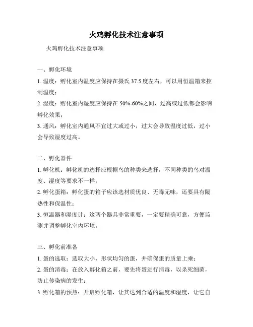火鸡孵化技术注意事项