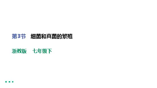 第6节 细菌和真菌的繁殖(共26张PPT)  初中物理浙教版七年级下课件