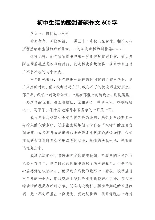初中生活的酸甜苦辣作文600字_作文