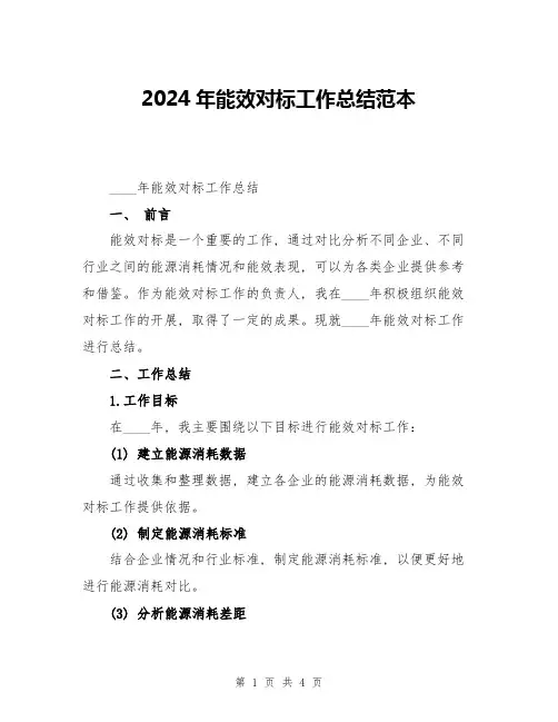 2024年能效对标工作总结范本
