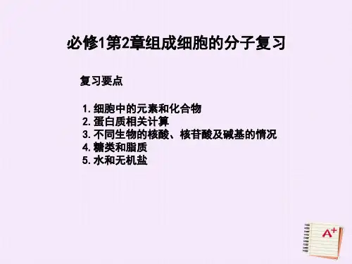 高中生物必修一第02章 组成细胞的分子(复习课件)(共29张PPT)