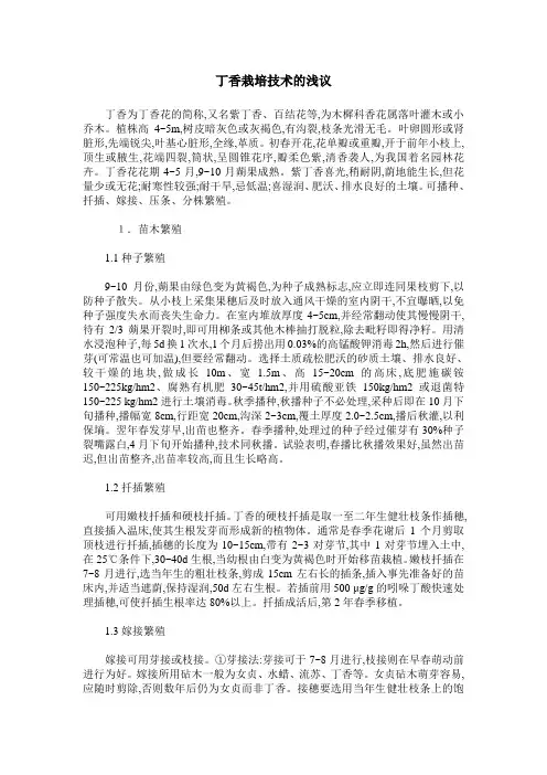 丁香栽培技术的浅议