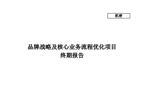 埃森哲流程项目咨询报告PPT精选文档