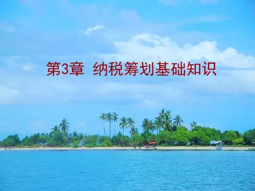 第3章 纳税筹划基础知识
